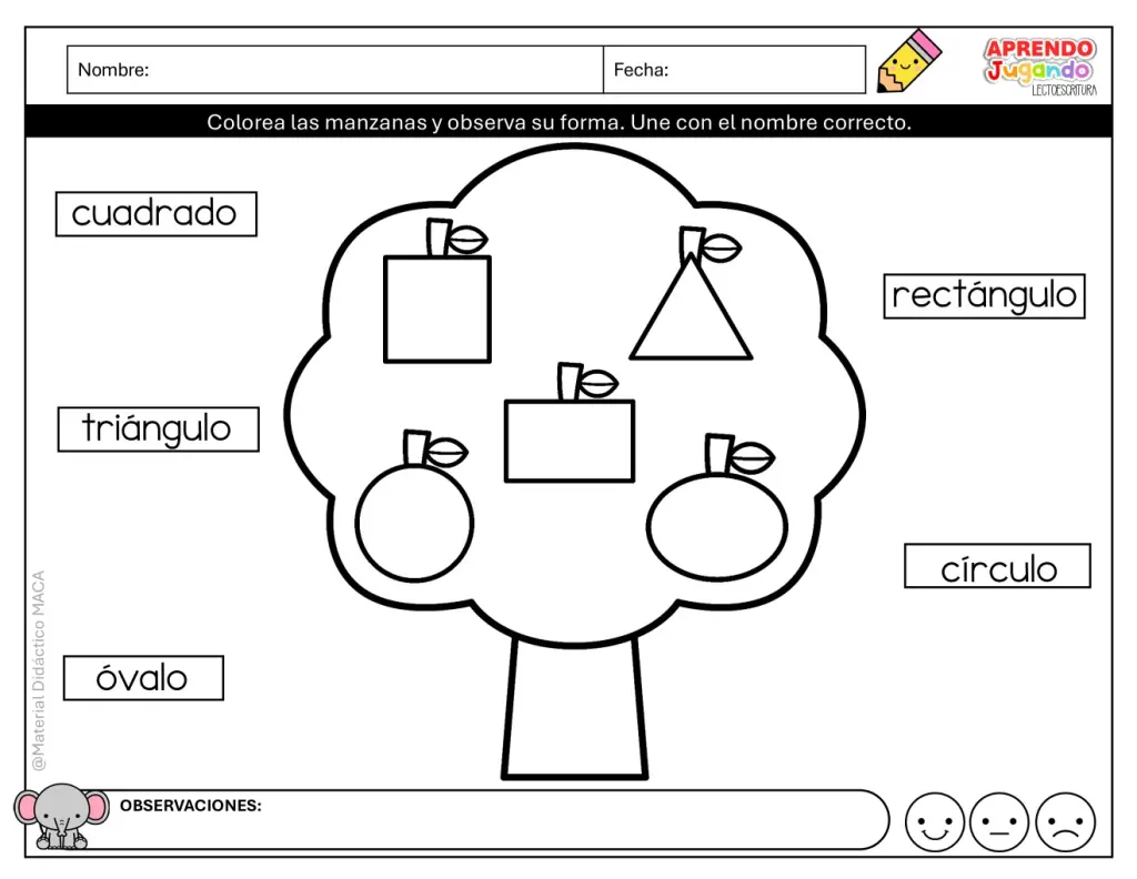 FICHAS DE REFUERZO 1 - 2024-2025